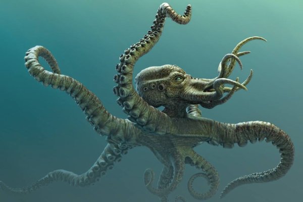 Kraken ссылка рабочая