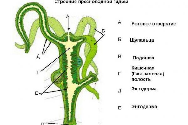 Кракен сайт магазин